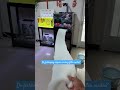 Do fishkeeping require washing filter media?