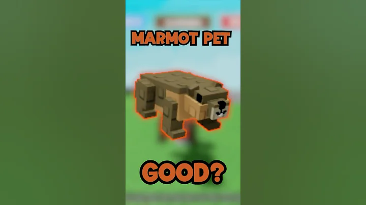 is the MARMOT PET any good??? #growagarden #growagardenroblox #growagardentips #shorts