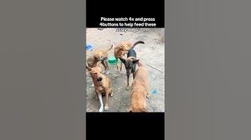 For any support, click the link in our channel description to donate. Every little bit helps