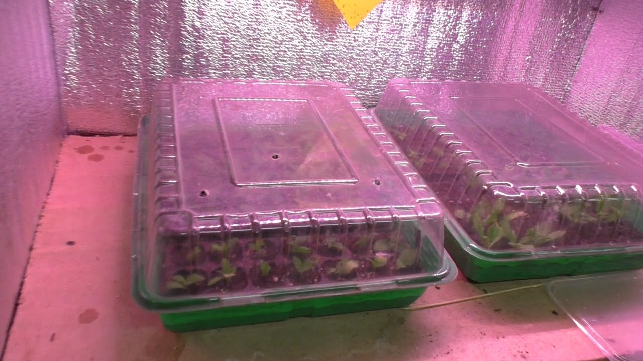 стеллажи, которыми пользуюсь.