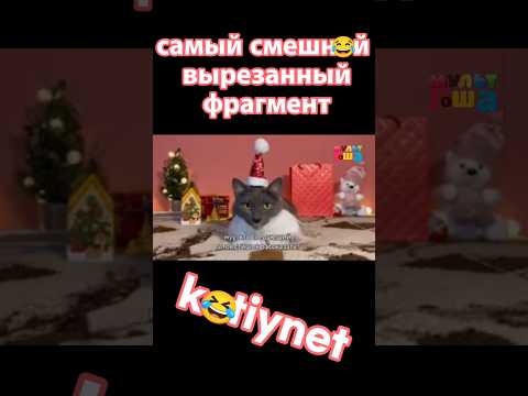 самый смешной вырезанный фрагмент котинет на канале мульт Гоша 02.05.2026