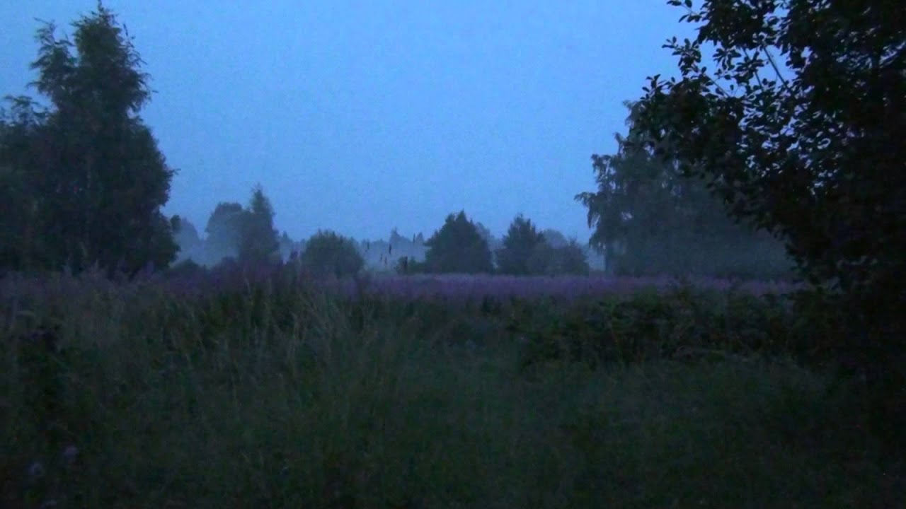 Чудо-пропись илюхина 1 класс ответы стр 31. Тетя поля вечером вернулась с поля витя. Чудо-пропись илюхина 1 класс 4 часть. Тетрадь ученика. Тетя поля вечером вернулась с поля витя скворцов смастерил домик для.