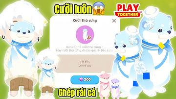 Mình dùng hơn 1000 kim cương để ghép và cưỡi pet rái cá | PLAYTOGETHER