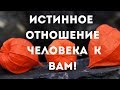 Истинное отношение человека к вам!