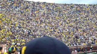 The Wave At Michigan Stadium