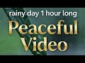 The Best 1 hour long Peaceful Video for sleep, meditation, and stretching. 