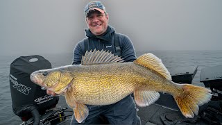 12.87 POUND MONSTER WALLEYE