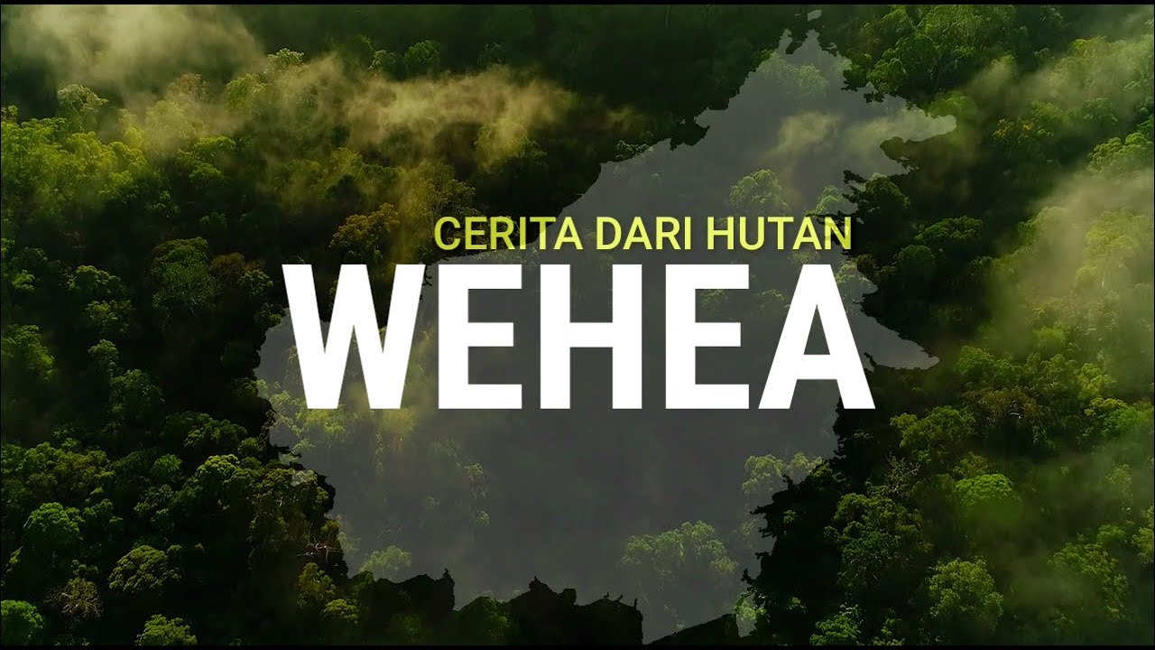 Hutan Lindung Wehea