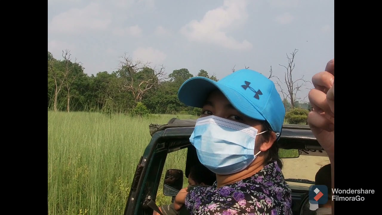 we got chased by elephant!!!!