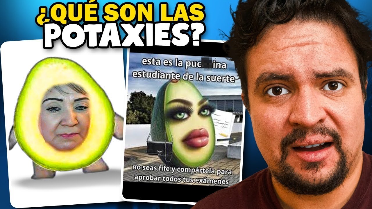 ¿QUÉ ES UN POTAXIE? 