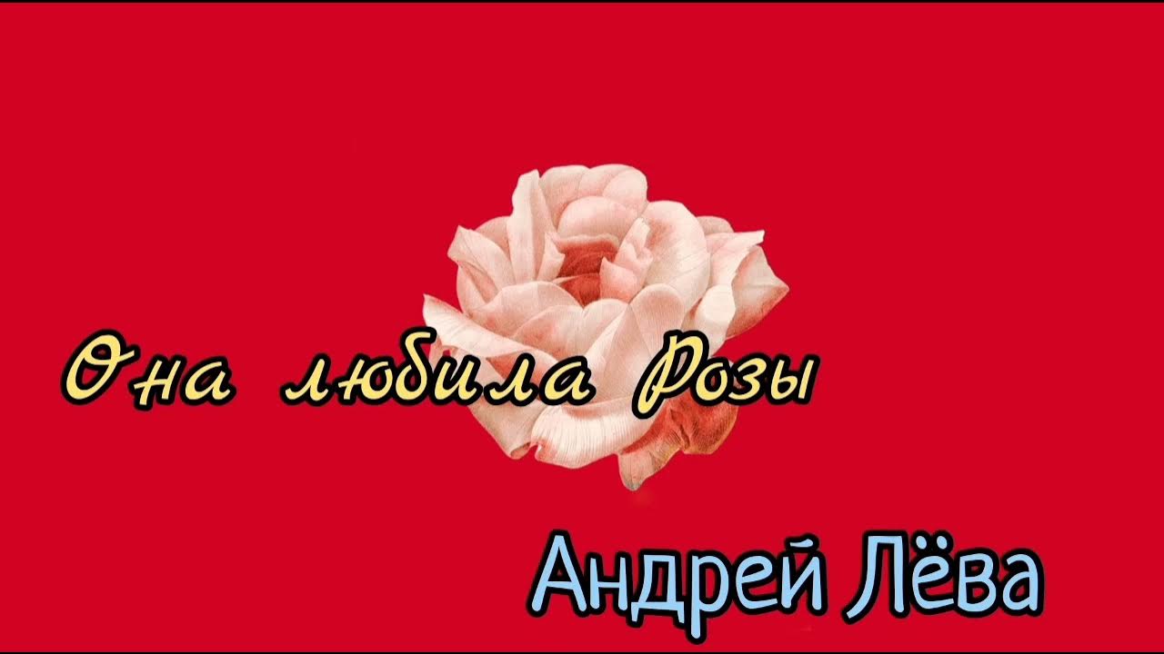 Она любила розы. Она их любила розы любила она. Она любила розы слова. Она их любила розы любила она. Она их любила розы любила она.