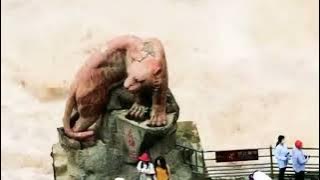 Chinese Instrumental Music ~ Copyright Free Music 🎵 #Chinesemusic