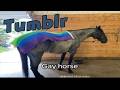 Gay Horse, Tumblr Time