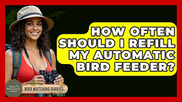 How Often Should I Refill My Automatic Bird Feeder? - Bird Watching Diaries