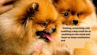 DOG QUOTES #2