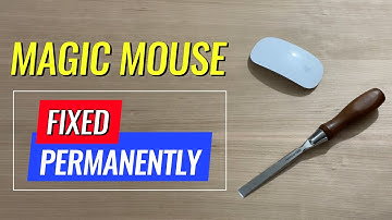 The Tragic Flaw of the Apple Magic Mouse