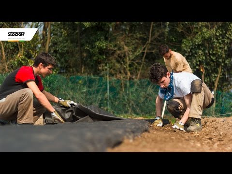 Video: Pacciamatura Del Terreno: Un Passo Verso Il Raccolto