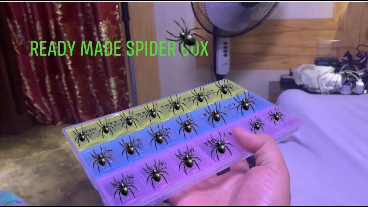 Lalagyan ng gagamba(Ready made Spider Box) lagayan ng gagamba for sale ...