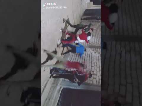 خناقه نجوم العامريه