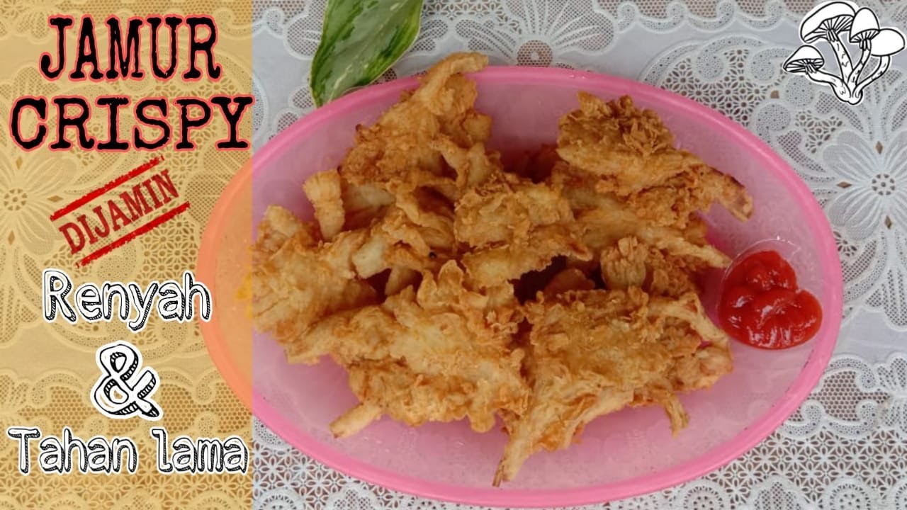  CARA MENGOLAH JAMUR TIRAM  Resep Jamur  Crispy Tahan Lama 