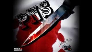 PNS-Sange Pe Tricolor (prod. Nemo)