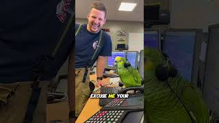 Parrot Firefighter Dispatcher Roasts Caller Therealbeako