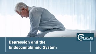 Major Depression, Cbd And The Endocannabinoid System - Dr. Jim Collins