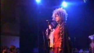 The Moldy Peaches - Anyone Else but You