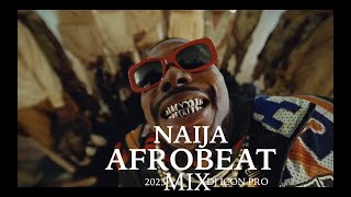Afrobeats Naija Mix 2023 X Tyla Water, Afrobeat Mix 2023 Davido,Burna Boy,Asake,Rema,Ayra Starr