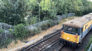 73119 ‘Paul Taylor’ & 73201 ‘Broadlands’ RESCUE 69013 hauling empty IPA vehicle carriers