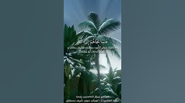 سورة العنكبوت - ئایەتی ٦٤ بۆ ٦٦ (بەتەفسیری كوردی) بەدەنگی شريف مصطفى