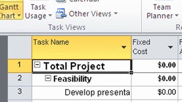 Microsoft Project 2010 Displaying Cost & Schedule Information