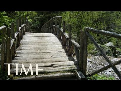 Missing British Hiker In Greece Was Likely Attacked By Wolves On A Desolate Path | TIME