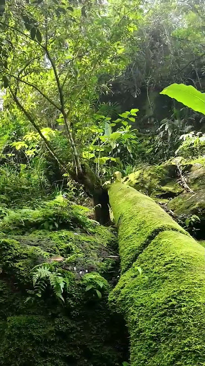 keindahan alam jawa barat