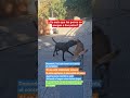 ¿Que se ponga a dos patas encima de otro perro es malo?
