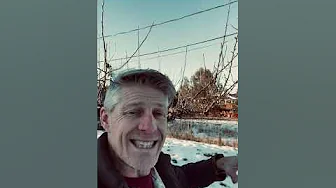 6 Steps to Prep Fruit Trees