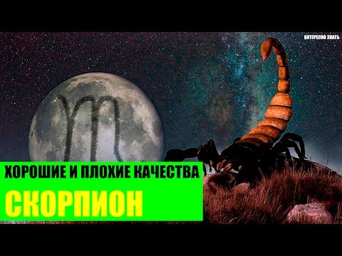 Хорошие и плохие качества Скорпиона