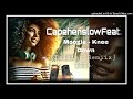 Capehenslow Ft. Moogie - Knee Down [Twister Remiix] 2024 (RemzPik)