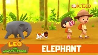 Let's RETURN the ELEPHANT  to its herd! | Leo the Wildlife Ranger | MiniEp | @mediacorpokto