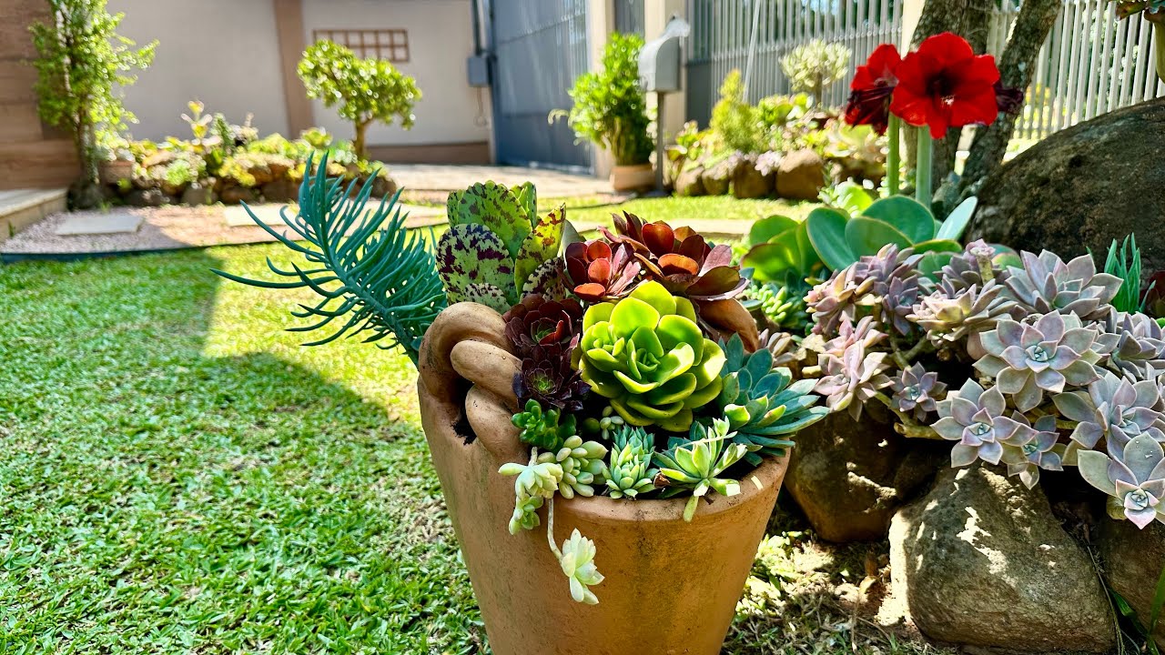 DESCUBRA a HORA CERTA de trocar as SUCULENTAS de VASO
