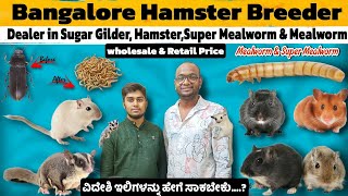 Hamster breeder in Bangalore |🐭 Hamsters,Gerbils,Sugar glider,Mealworm & superworm | ವಿದೇಶಿ ಇಳಿಗಳು 😱