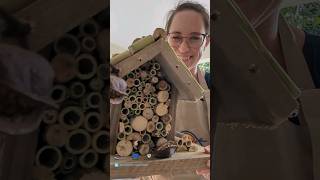 What are bee hotels?