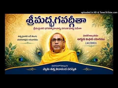 22.Bhgavadgeeta-Chap 1(Cleaned)Sloka 39-43 by Swami Tattvavidananda at Brahma Vidya Kuteer Hyderabad