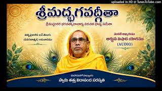 22.Bhgavadgeeta-Chap 1(Cleaned)Sloka 39-43 by Swami Tattvavidananda at Brahma Vidya Kuteer Hyderabad