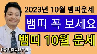 뱀띠운세 / 종합운 재물운 건강운 애정운  뱀띠의  10월 운세입니다  89년생 77년생 65년생 53년생 …