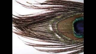 THE TURQUOISE - Looking Back