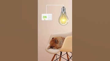 Thí nghiệm bật - tắt bóng đèn với ActivePresenter 💡 #shorts