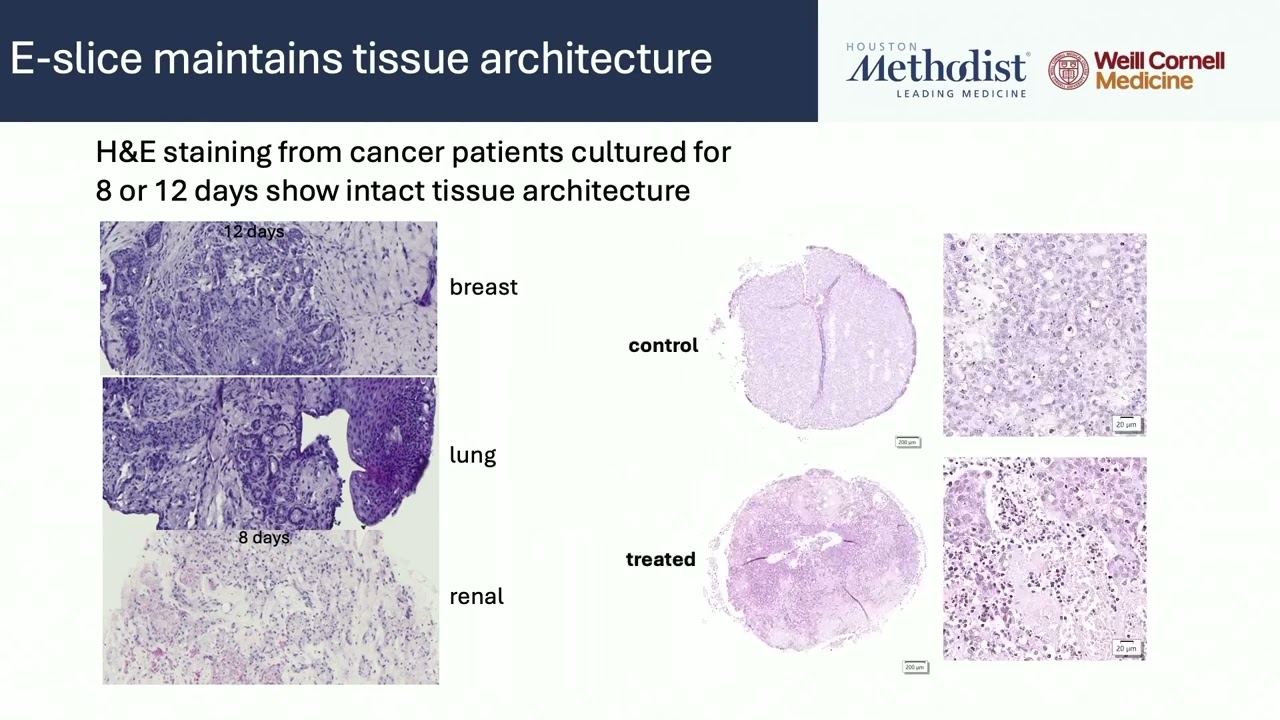 Precision Oncology: Emerging Technologies & Implementation