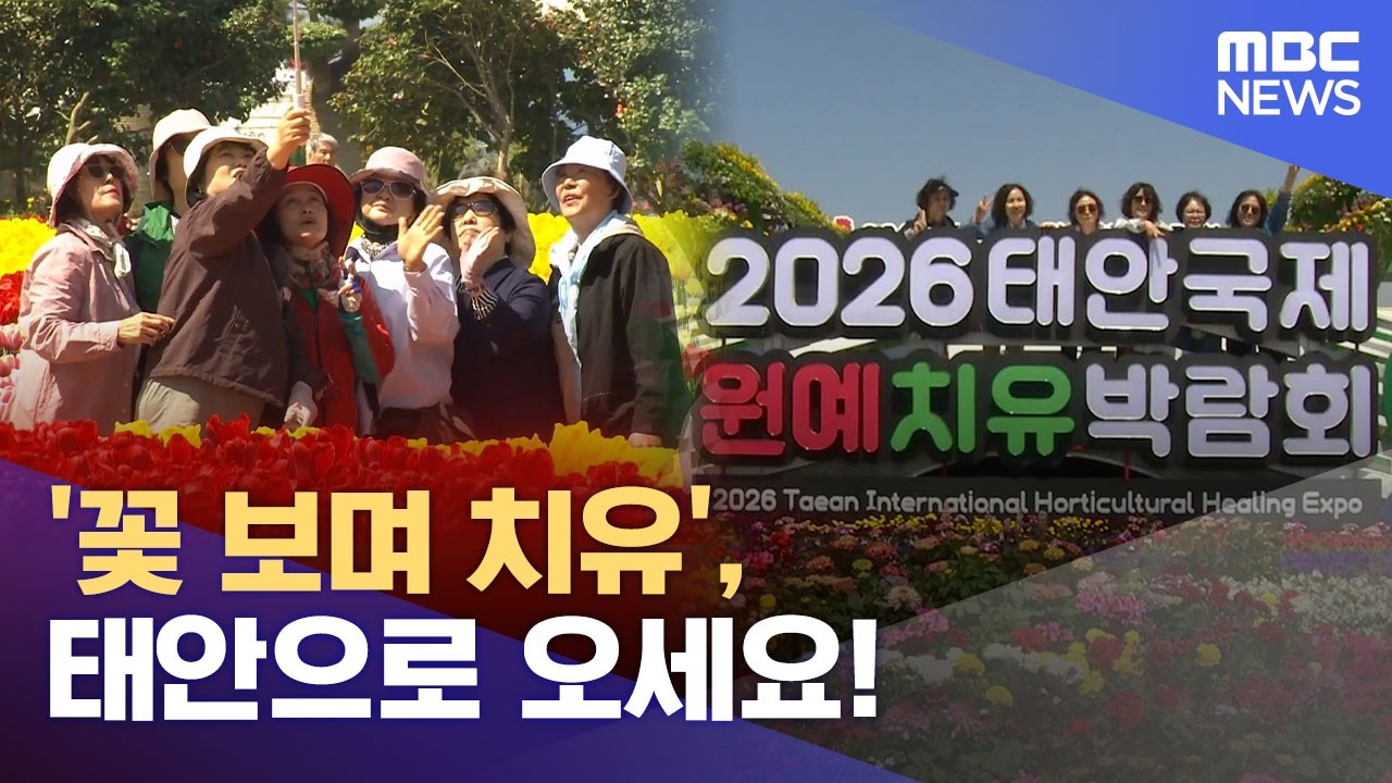 '꽃 보며 치유', 태안으로 오세요! (2026.04.25/뉴스데스크/대전MBC)