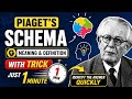 Piaget Schema Theory 2026 | Schema Meaning & Definition in hindi & english | CTET CDP Pedagogy